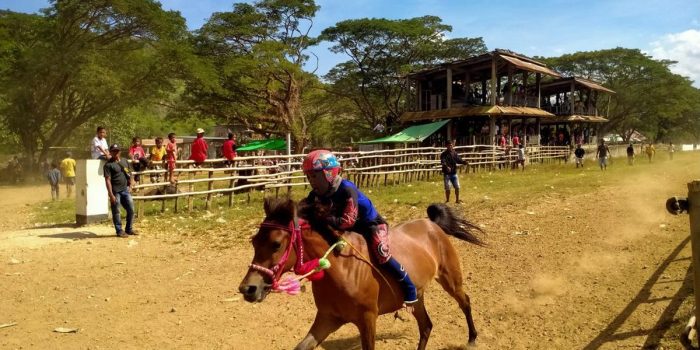 suasana-latihan-training-kuda-di-arena-pacuan-kuda-lemba-kara-lepadi-dompu-ntb_43
